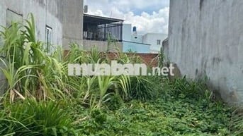 Bán đất nền 5x20m tại KDC Trung Thành, Cầu Tràm, đường số 1, DT 826.