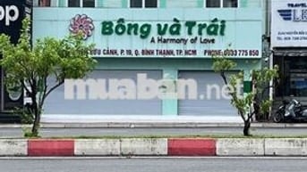 Cho Thuê Nhà Mặt Tiền Nguyễn Hữu Cảnh