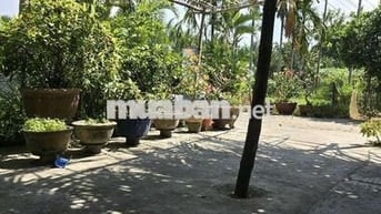 Cần bán đất ven sông chính chủ