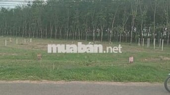 Bán đất 144.8m2 thổ cư 678 4-4 Xã Dương Minh Châu Tây Ninh 500 triệu