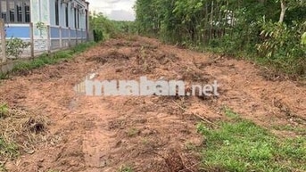 (Chính Chủ Bán) 3632m2 Đất Xã Minh Thạnh,TP.HCM- Mặt Tiền DT749A.