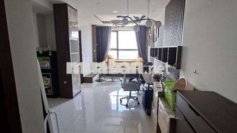 chính chủ cho thuê green river Q8 2Pn 2Wc giá 9.5tr gần full nội thất 