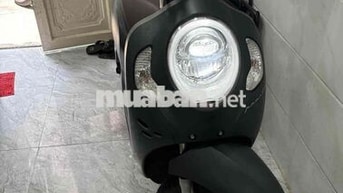 Honda Scoopy Xám