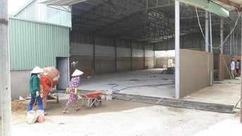 Cho thuê nhà xưởng 1000m2 tại phường An Phú Đông