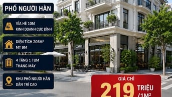 HIẾM, BIỆT THỰ VIP MỸ ĐÌNH, GIÁ RẺ, PHỐ NGƯỜI HÀN. 205M2 4T 219TR/1M