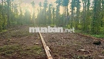 Đất nền Xuân Thọ 5x36 tcsr mặt nhựa gần trục đường Xuân Lộc-Long Khánh