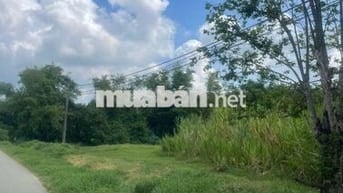 Bán đất mặt tiền đường Nguyễn Thị Chiếu  lô góc 2 mặt tiền nhựa 2020m2