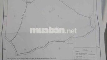 CHUYỂN NHƯỢNG QUỸ ĐẤT SINH THÁI 2,6 HA – CẠNH RỪNG THÔNG & KDL TÀ NUNG