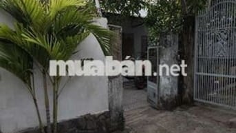 Nhà hẻm trần hoàng na mới , cách đường lớn khoảng 50m 