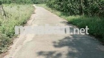 Mặt tiền đường cách bãi tắm chỉ 1km cạnh khu dân cư