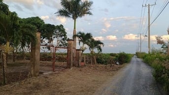 BÁN NHÀ VƯỜN XÃ AN THỚI ĐÔNG – CẦN GIỜ