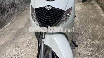 Honda SH Y 2008 Trắng