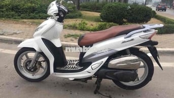 bán xe shark  nguyên bản