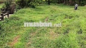 Bán đất xã Tân An Hội Củ Chi Thành phố hồ Chí Minh