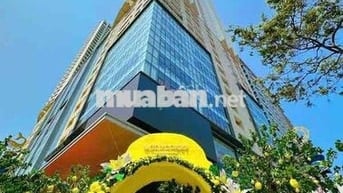 HÀNG HIẾM ĐÃ CÓ SỔ ĐỎ - BÁN CĂN STUDIO VIEW BIỂN THÁP NAM TOÀ GOLDCOAS