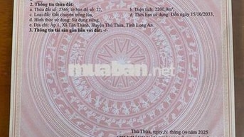 Đất lúa giáp đường 8 mét công cộng