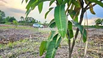 Đất 500mv giá 249tr Đường xe tải