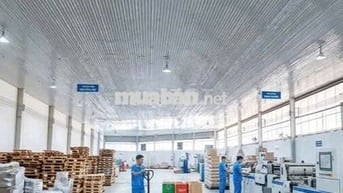 Cho thuê kho Nguyễn Hữu Thọ 1500m2 kho logistics cao cấp 