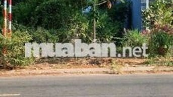 Bán Gấp 120m² Đất Mặt Tiền Phan Văn Đáng, Hòa Xuân - Giao Dịch Ngay