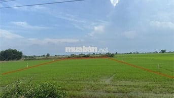 CHÍNH CHỦ BÁN ĐẤT MẶT TIỀN QL22B