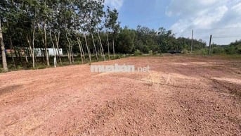bán gấp lô đất mặt đường nhựa 12m