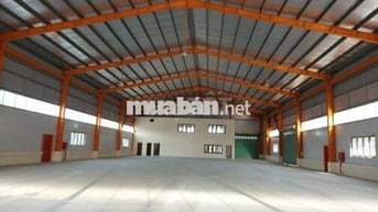 CHO THUÊ NHÀ KHO 390M2 TẠI LIÊN CHIỂU – GIÁ RẺ CHỈ 19 TRIỆU/THÁNG 