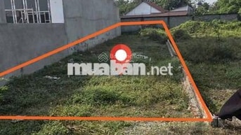 Bán đất Đ. Trần Tử Bình gần chợ Việt Kiều 125m2 giá 1,4 tỷ còn TL, SHR