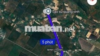 Bán đất 15mx20, 300m2, có 200m2 thổ cư, MT đg Minh Hòa 19, kế ĐT749B