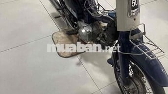 Honda Cub 81 70cc Xanh