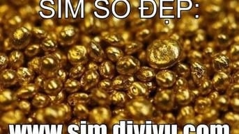 Sim số đẹp 090, 091, tuyển chọn tại TP HCM