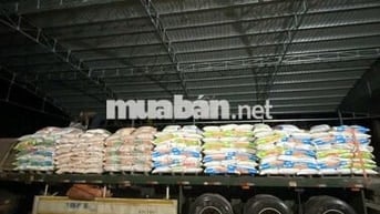 Cho thuê nhà xưởng tại Hạ Hòa, Phú Thọ - Đất SKC pháp lý chuẩn