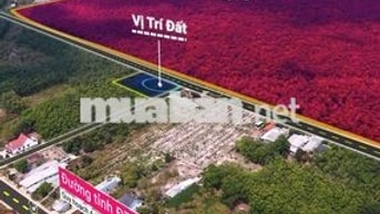 Đất thổ cư sát bên khu công nghiệp