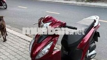 Honda Vision 2023 Đỏ