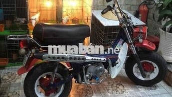 Honda Chaly 81