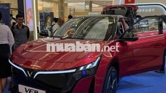 Cọc Tiên Phong VF8 ALL NEW Chỉ 768Tr