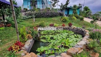 Nhà vườn giữa lưng chừng núi siêu đẹp