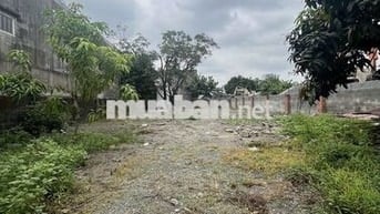 CHO THUÊ BÃI CÔNG 600M CÓ NHÀ CẤP 4 ĐƯỜNG XE CÔNG P TÂN ĐÔNG HIỆP