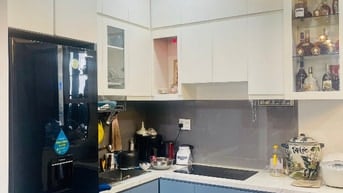 Chình chủ cần bán căn hộ chung cư Thuận Việt Quận 11, diện tích 98m2, 