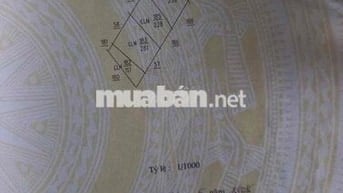 bán đất để chia cho các con khi còn sống