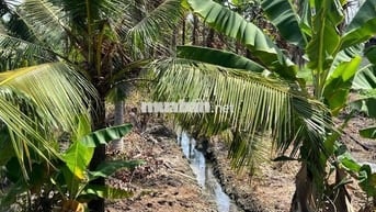 chính chủ gửi Dt (20x90 ) gia 14 ty 4 còn thương lượng
