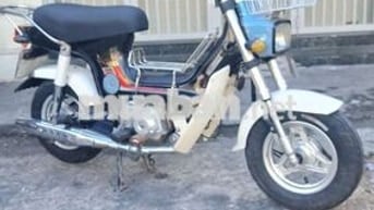 Honda Chaly màu Trắng