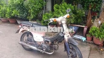 Honda Cub Hồng Đen