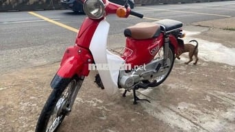 Daelim Cub 50cc Đỏ trắng bs 60
