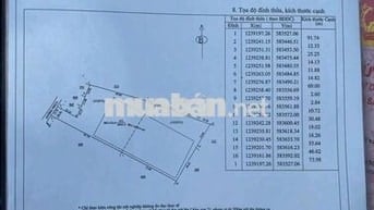 Nguồn VIP hiếm có 11.000m đất SKC gần khu công nghiệp An Lập.