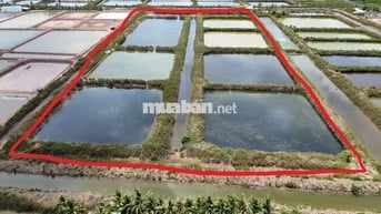 📢 BÁN ĐẤT NUÔI TRỒNG THỦY SẢN – VỊ TRÍ ĐẸP GẦN KHU ĐÔ THỊ FLC BẠC LIÊU