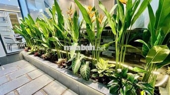 cho thuê biệt thư đôi Himlam 20x20 giá 250 tr