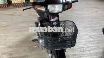Honda Dream cá mập 1992 Tím