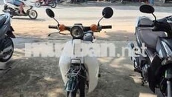 Honda Cup 81-86 Trắng