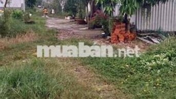 Cần Bán Gấp Đất Nền Châu Thành