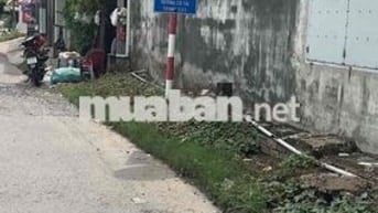 cần bán đất đường Trần Thị Điểu